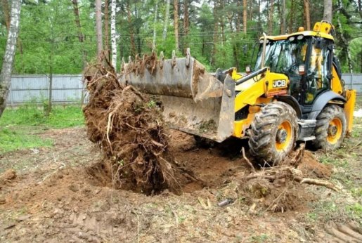 Удаление пней и корчевание вручную и со спецтехникой стоимость услуг и где заказать - Ульяновск