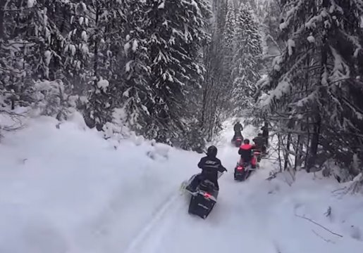 Снегоход Катание на снегоходах, отдых на праздники взять в аренду, заказать, цены, услуги - Ульяновск