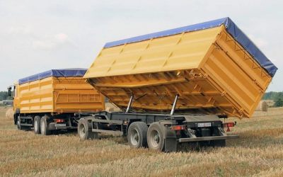 Услуги зерновозов для перевозки зерна - Ульяновск, цены, предложения специалистов