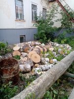 Спил, обрезка деревьев стоимость услуг и где заказать - Ульяновск